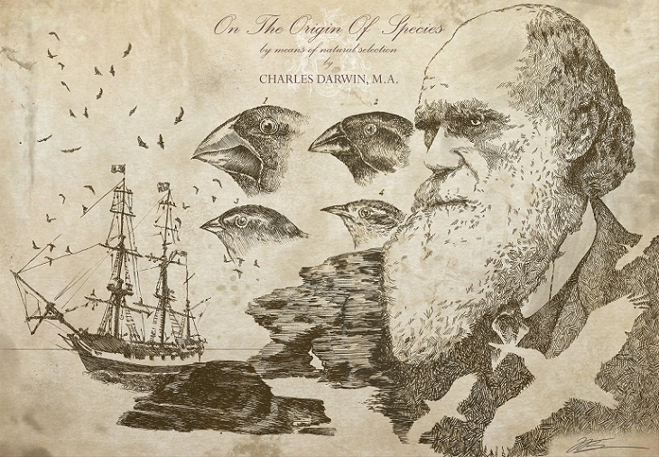 Asal Usul Charles Darwin Menulis Buku The Origin of Species Asal Usul Charles Darwin Menulis Buku The Origin of Species