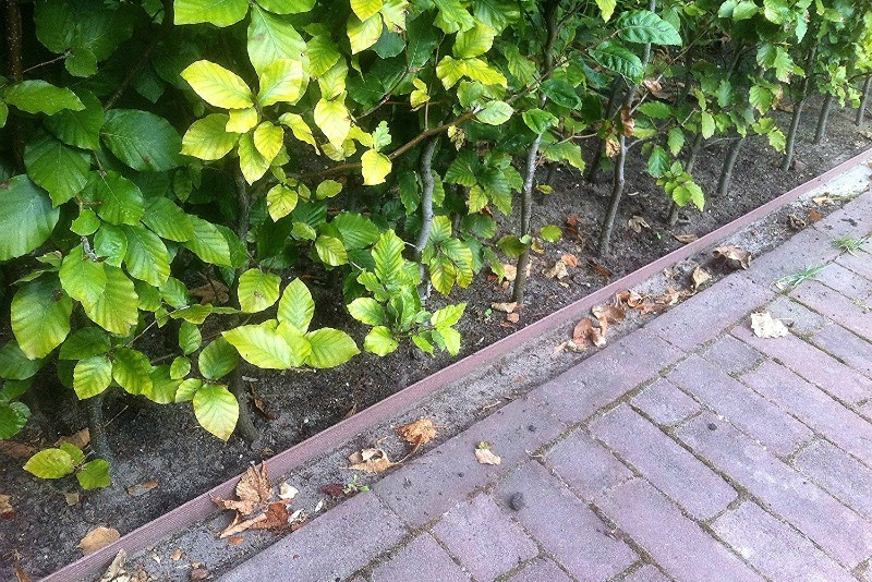 Tipos de borduras para el jardín - Guia de jardin