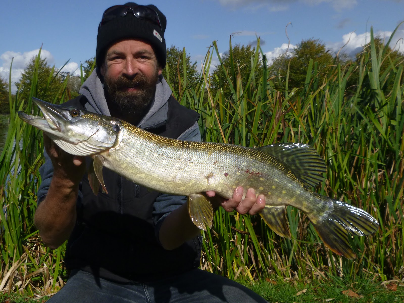 Pike Blog It's Pike Time!