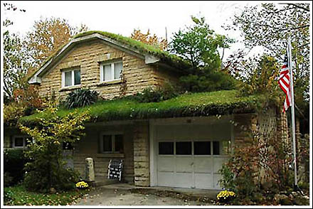 Agroecologia en Casa...: Techos y pequeños rincones verdes
