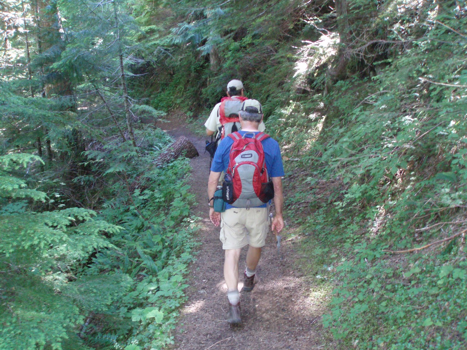 Fagin's Weather World Hike Washington Fagin's Hike of the Week