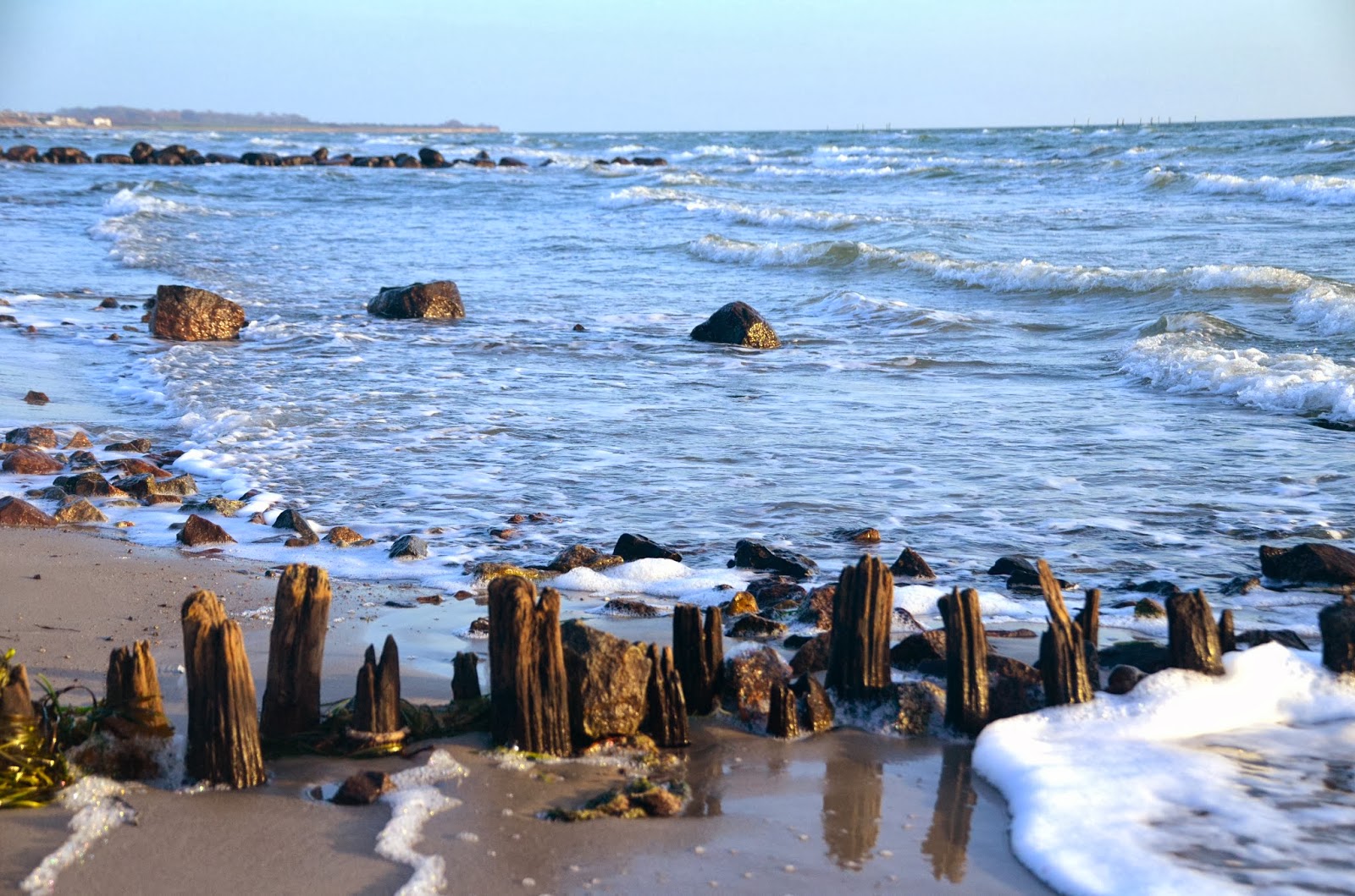 Fehmarn mit Hund: Fehmarn ist auch im Dezember schön!