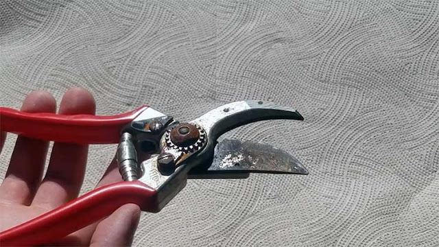Bahçe Aletlerinden En Kolay Pas Nasıl Çıkar Yeşil Parmak