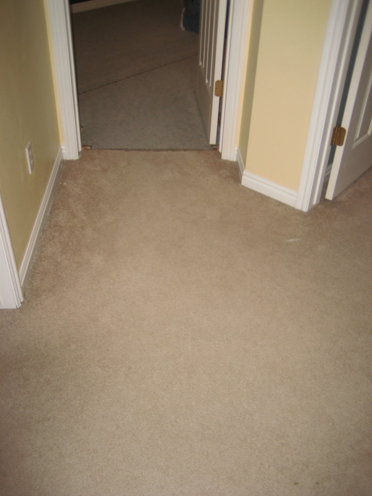 Paint Me Shabby New carpet revealed!