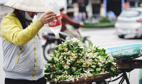 [Image: Thang-3-hoa-buoi-thoang-thom-trong-gio-o-Ha-Noi-9.JPG]