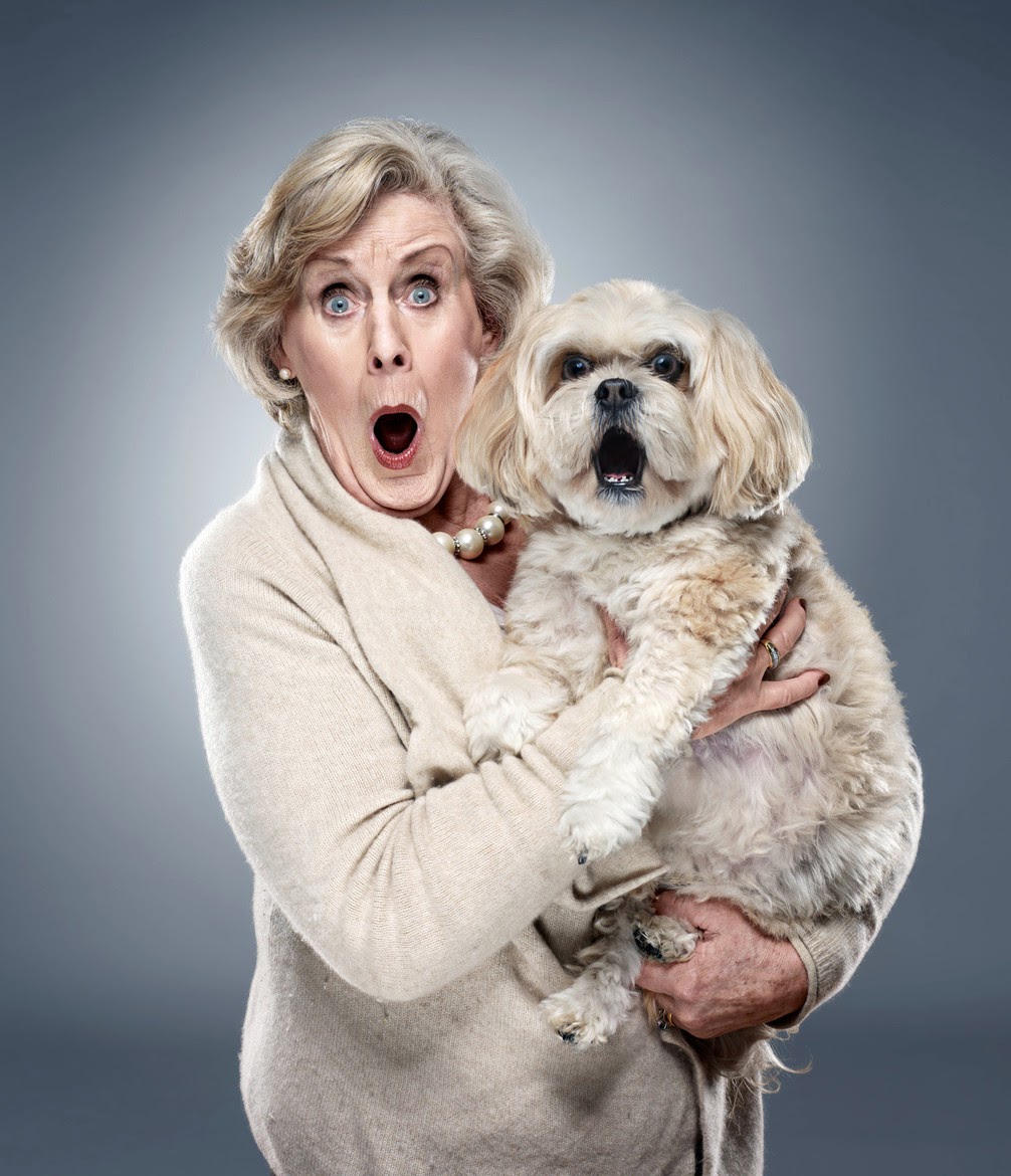 Banco de Imágenes Gratis 24 fotografías