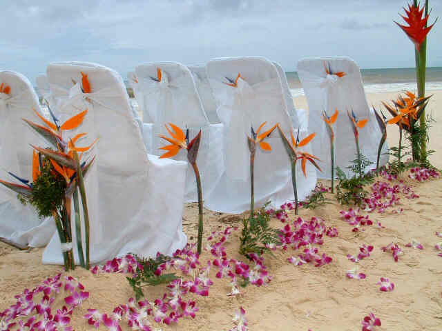 Ideas para Decorar Tu Boda en la Playa. - Mis Secretos de Boda Events