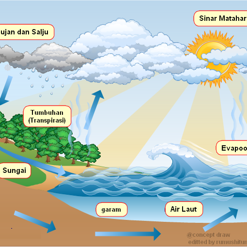 Siklus Hidrologi Daerah Aliran Sungai (DAS) dan Fungsinya | Konsultanppkh