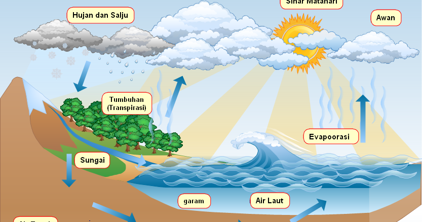 Temukan 9 kata yang digunakan dalam proses siklus hidrologi