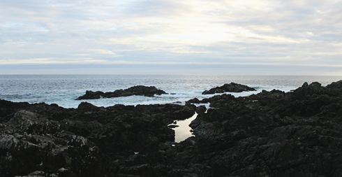 Wild Pacific Trail Ucluelet Vancouver Island