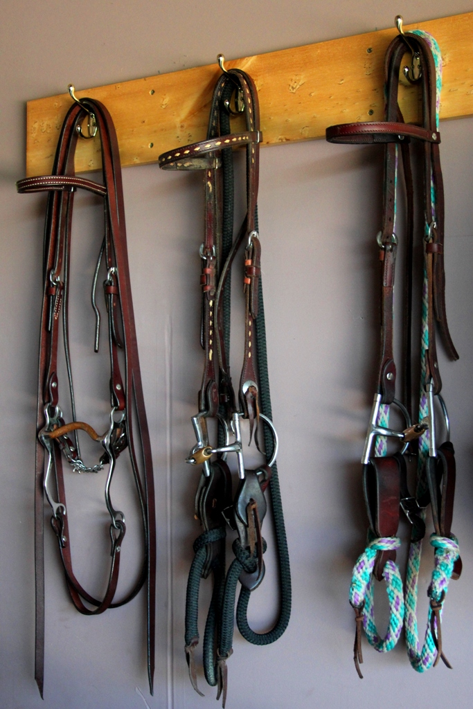 Must love mustangs! Bits and Bridles
