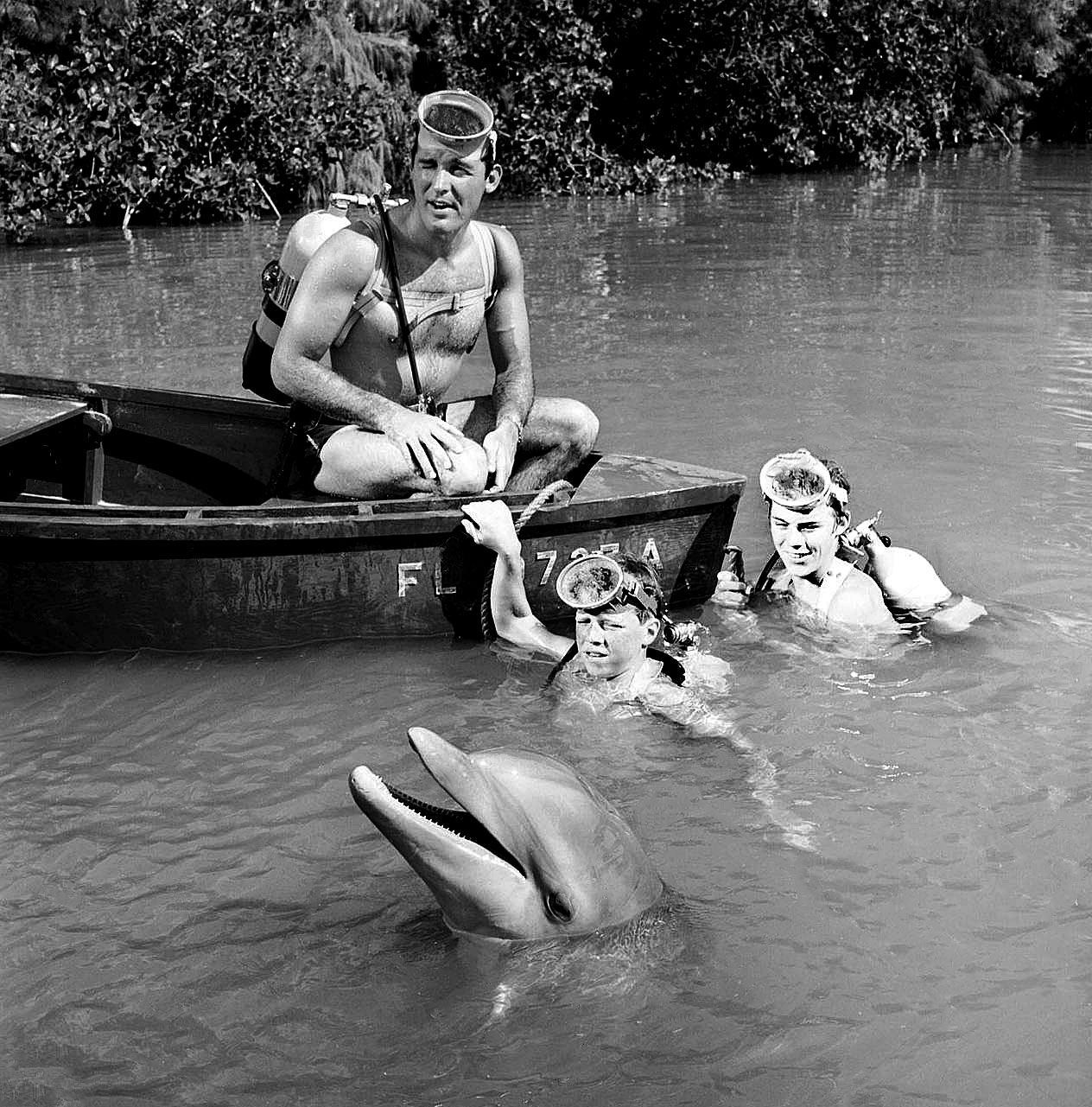 флиппер 1964 1967. актеры сериала флиппер 1964. флиппер фильм 1963. келли брайан флиппер. сериал про дельфина флиппер.