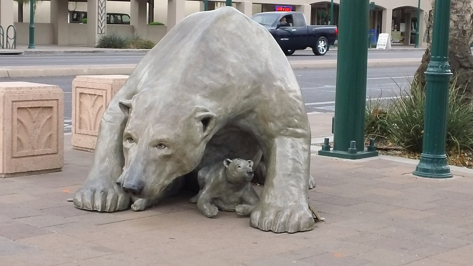 A Polar Bear in Mesa