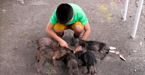 Ce jeune trouve 6 gros “rats” derrière une église. 1 an plus tard, ils sont métamorphosés!