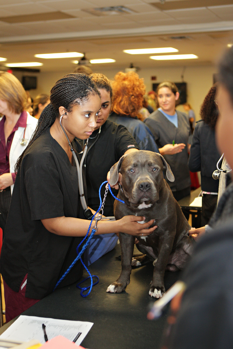 Veterinary Legacy Tuskegee University's Distinctive School of