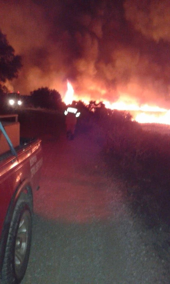 Οι εθελοντές - δασοπυροσβέστες Οκτωνιάς έδωσαν μάχη με τις φλόγες! ΦΩΤΟ