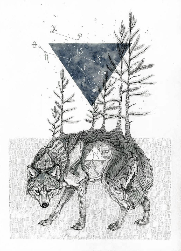 06-Lupus-Sarah-Leea-Petkus-Animal-Drawings-Steeped-in-Symbolism-and-Surrealism-www-designstack-co