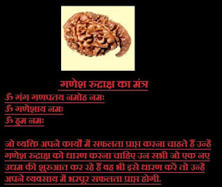 Ganesha Rudraksha Mantra: Benefits, How to Wear and Types of Rudraksha Details