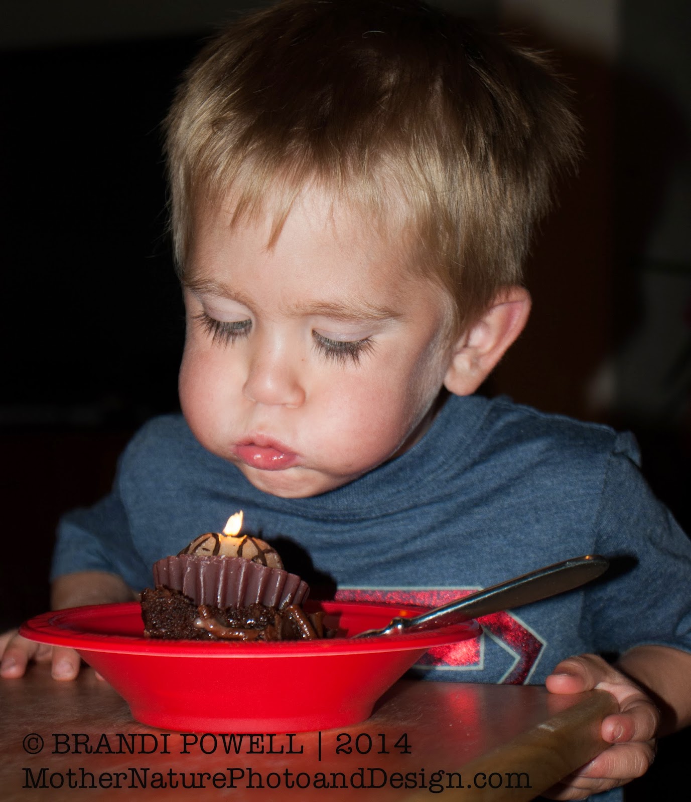 MontanaNatureMama: Happy Birthday Landon