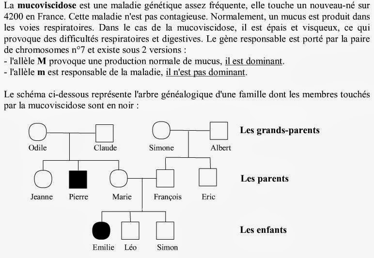 Exercice Tableau De Croisement Svt 3ème
