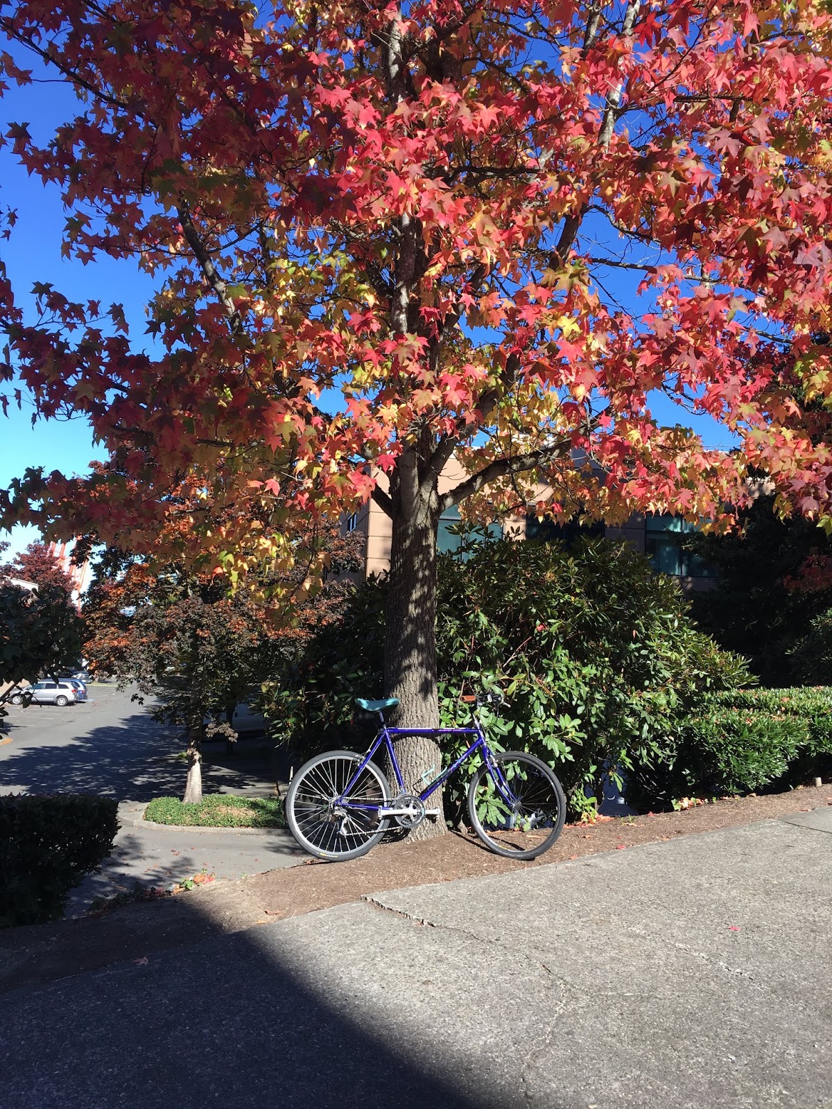Ryan's Rebuilds Coffeeneuring Challenge 2018 Ride 2 Uptown Espresso