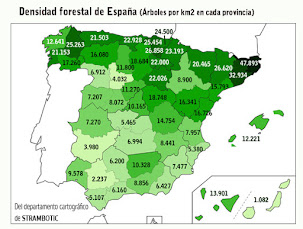 De Gerona a Las Palmas: las provincias con más y menos árboles de España