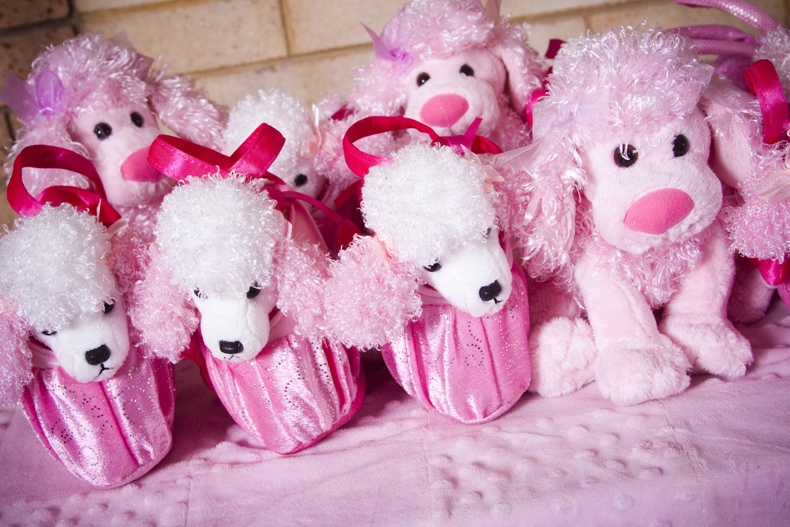 Cute Dogs Pink Poodle Dog