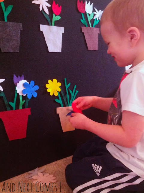 Preschool child counting flowers on the felt board