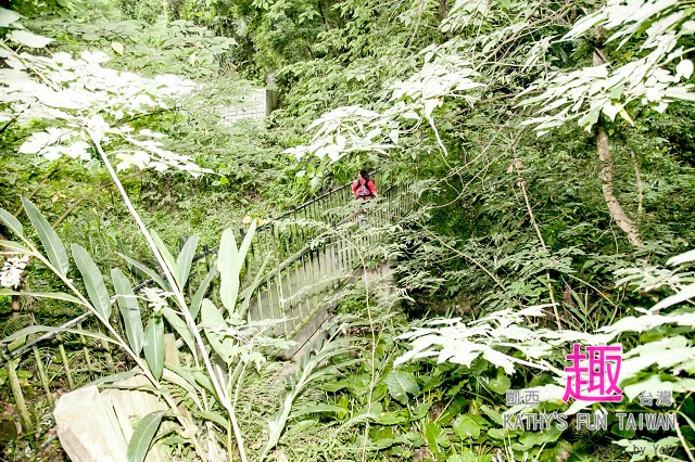 新竹縣北埔鄉。田野情趣南埔村生態體驗行 - 第31張圖