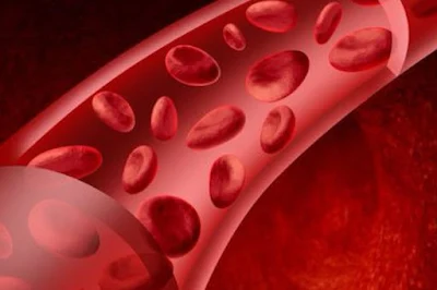 اعراض فقر الدم  علي الجسم وطرق الوقاية منها .