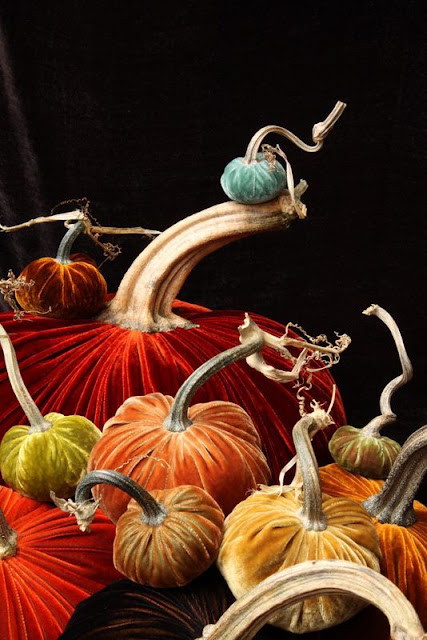 Colorful, velvet pumpkins against black background - Fall decor inspiration