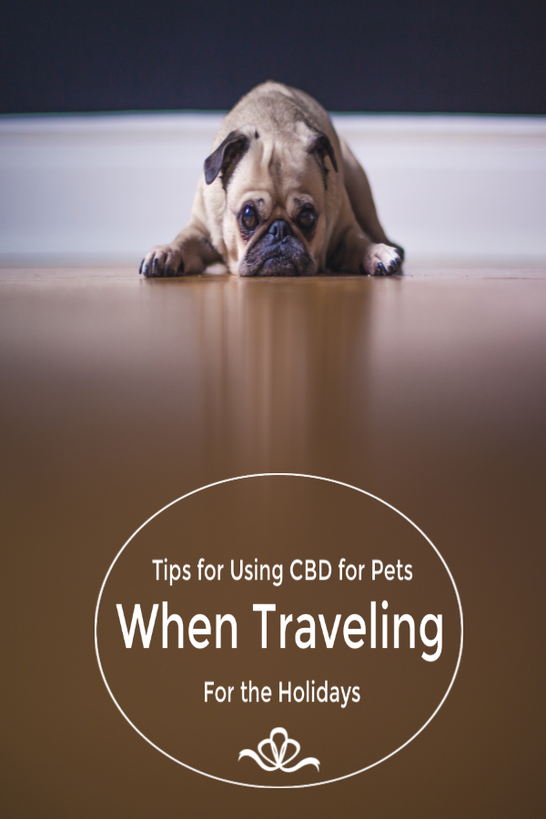 Tips for Using CBD for Pets When Traveling During the Holidays
