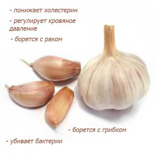 Очищенные дольки чеснока раскладываем прямо в банки.