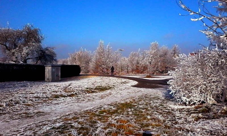 Ehe Familie Und Scheidung Eltern Sein Familien Bleiben Januar