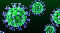Corona Virus (Covid-19)