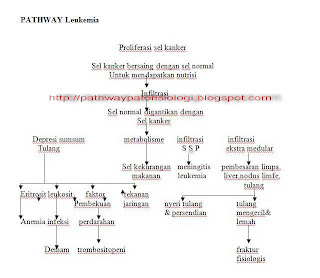 Pathway Leukemia Pathophysiology