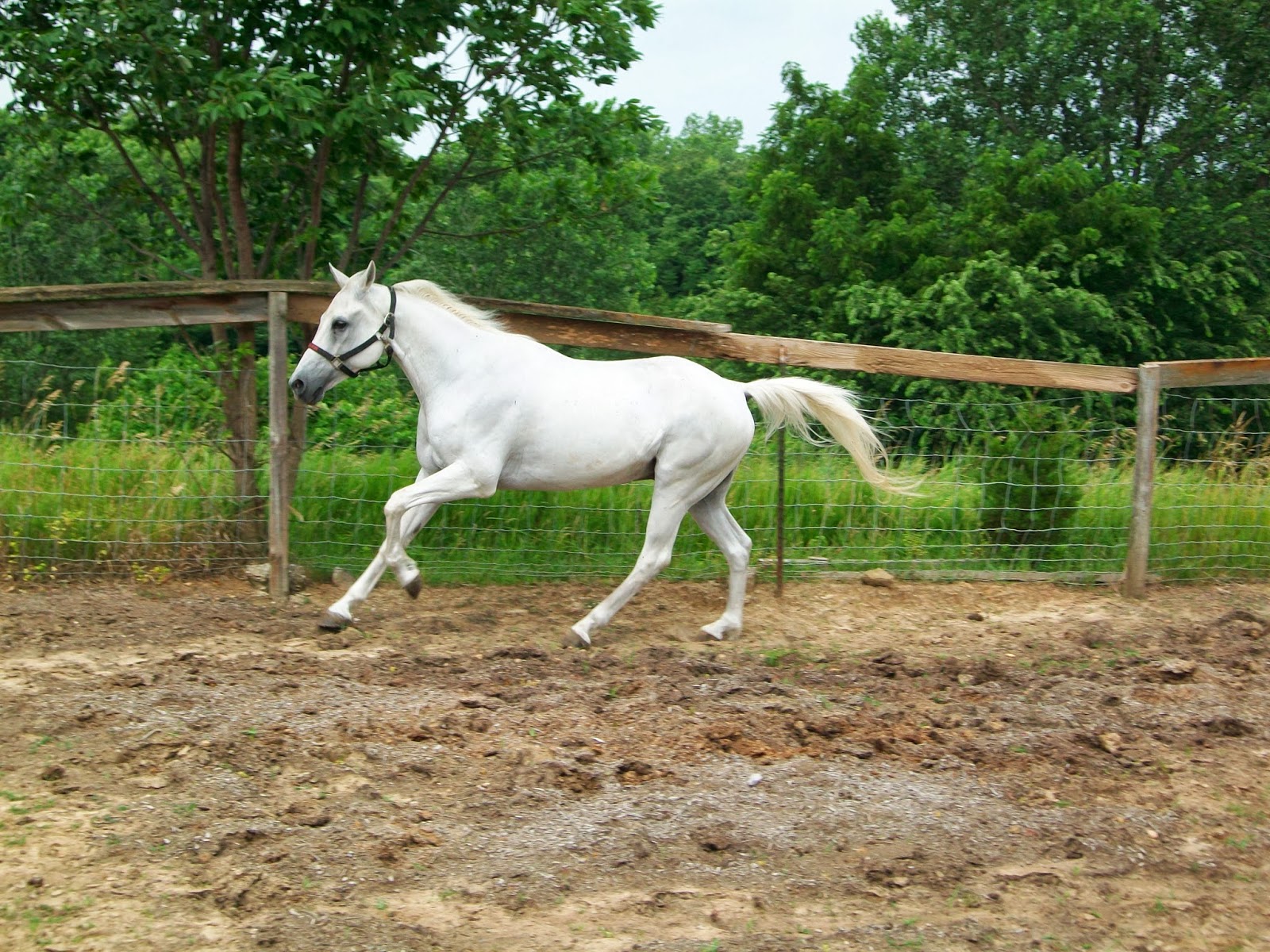 Shipman Training LLC