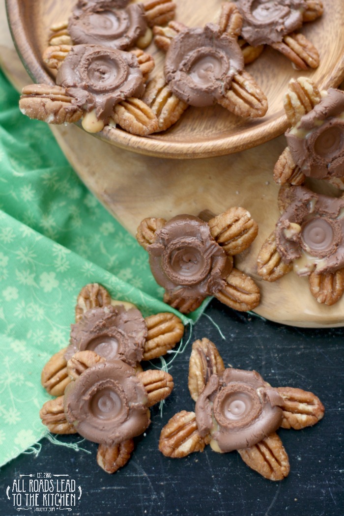 Shortcut Homemade Turtles for Enid Shortcut Homemade Turtles for Enid