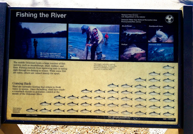 Fishing the River Sign at Bushkill Access