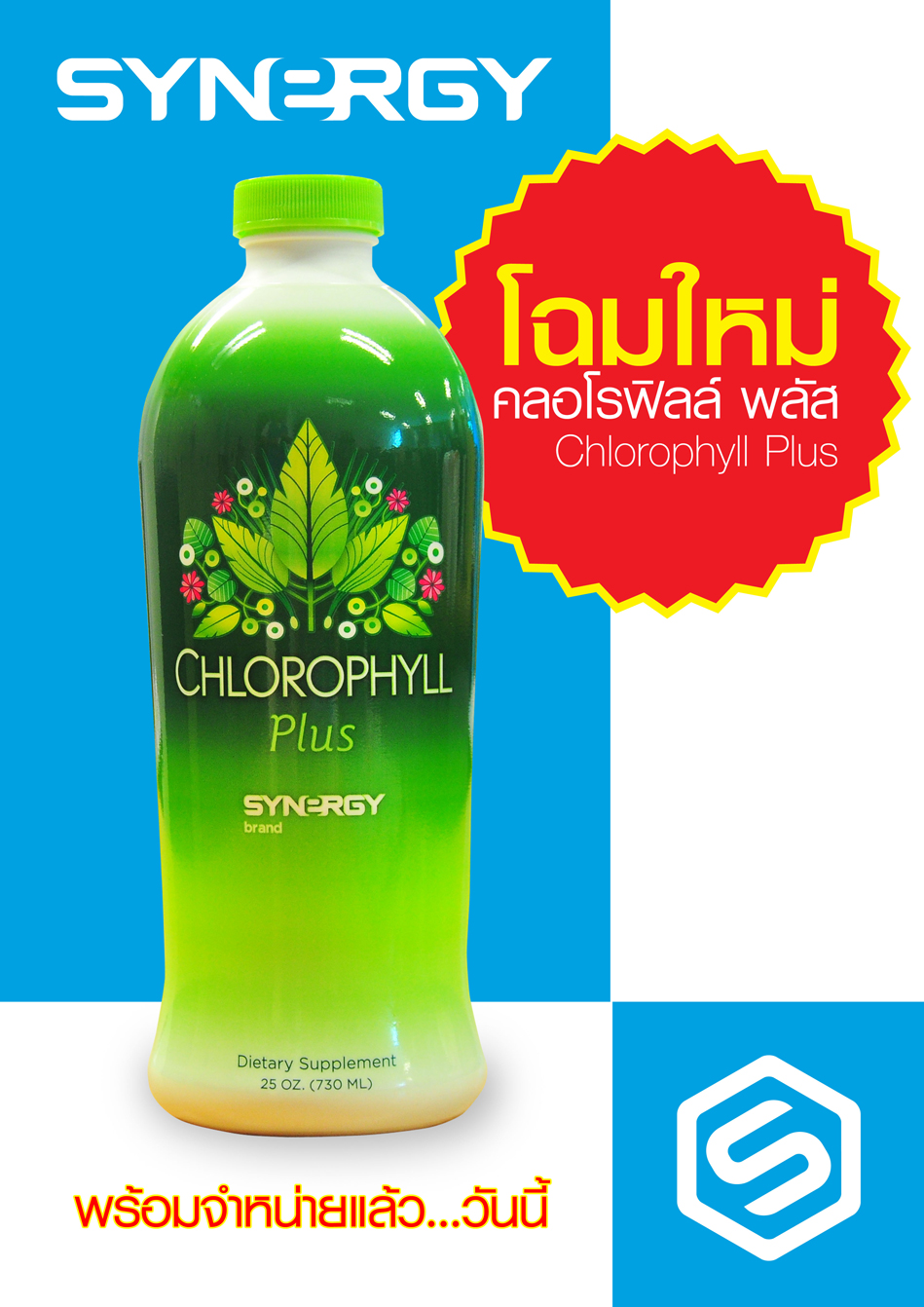 thailand synergy worldwide chlorophyll plus thailand synergy worldwide chlorophyll plus