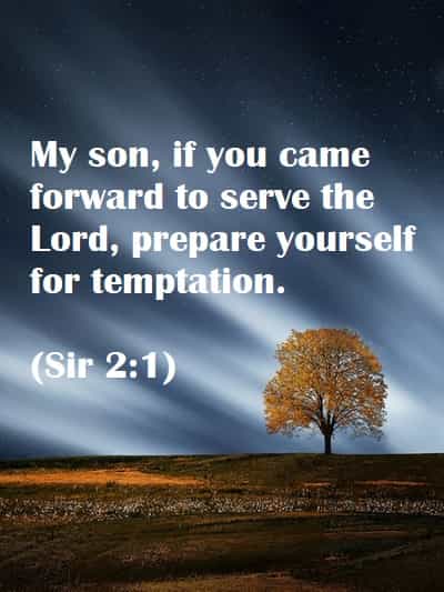 Book Of Sirach Quotes 85 Bible Verses And Bible Quotes About Wisdom