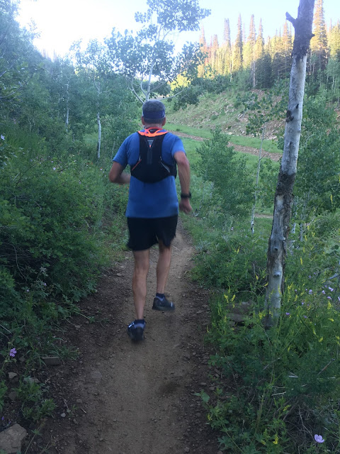 nike trail kiger running vest