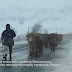 Iωάννινα:Απεγκλωβισμός των μετακινούμενων κτηνοτρόφων με τη συνδρομή της Πολιτικής Προστασίας [βίντεο]
