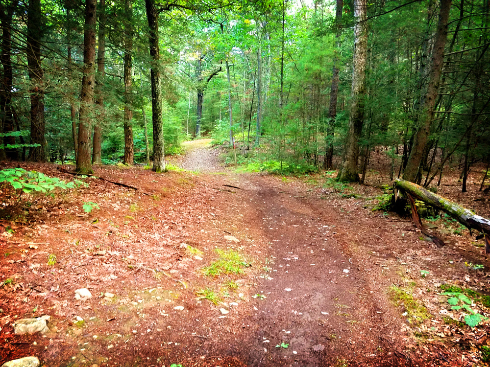 Hiking Trails in NJ and PA Hiking the Cliff Trail to the Hackers Falls