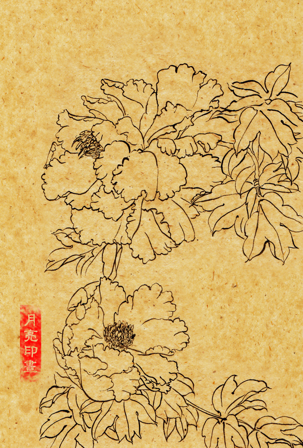 Traditional Calligraphy Characters Calligraphy Peony Flowers
