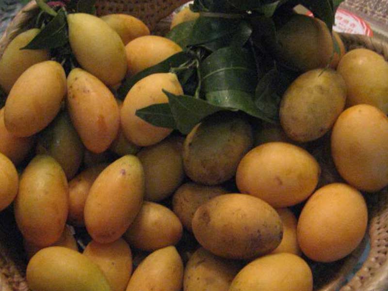 What Is A Fruit Ve able That Starts With The Letter Q All What Is A Fruit Ve able That Starts With The Letter Q All