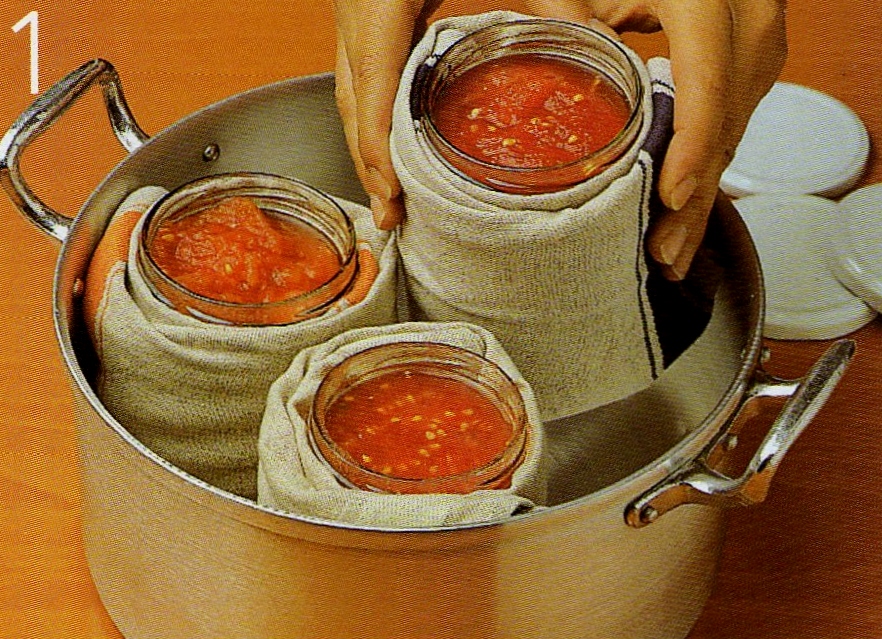 BoDDBo CONSERVAS LA ESTERILIZACIÓN