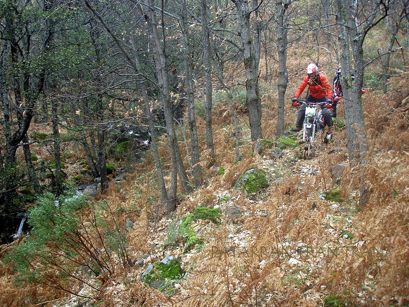 Cota 315r: Trial Excursión con nevada incluida