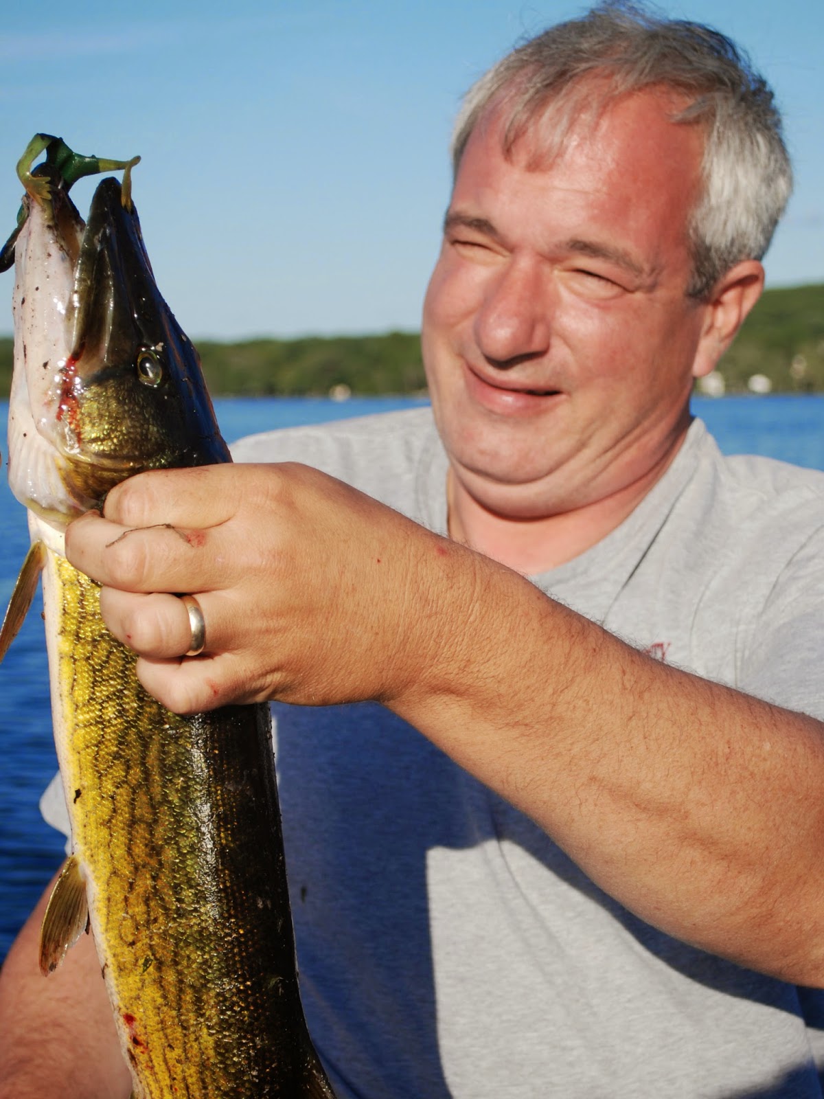 Litton's Fishing Lines PostSpawn Spinnerbaits Largemouth Bass, Pickerel, Northern Pike