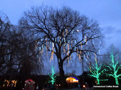 Christmas Lights  - A Longwood Gardens PhotoJournal - Part Two on Homeschool Coffee Break @ kympossibleblog.blogspot.com